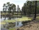 Cushnie QLD 4608