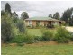 Kingaroy QLD 4610