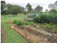 Kingaroy QLD 4610
