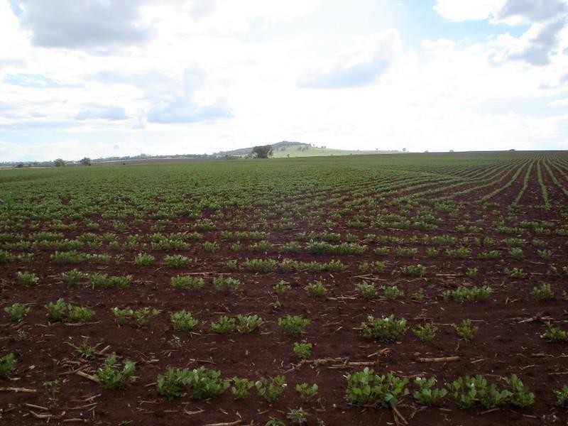 Kingaroy QLD 4610