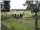 Tingoora QLD 4608