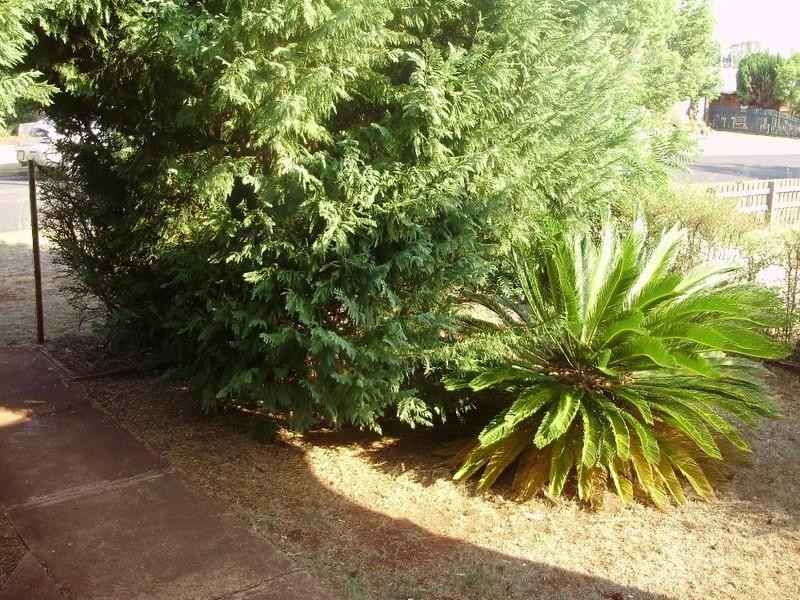 7 Tuite Street, Kingaroy QLD 4610