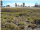 Maidenwell QLD 4615
