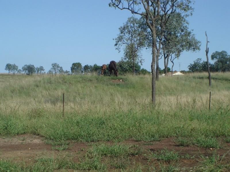 Kingaroy QLD 4610