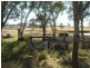121 Johnstons Road, Mannuem QLD 4610