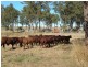121 Johnstons Road, Mannuem QLD 4610