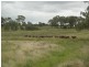 121 Johnstons Road, Mannuem QLD 4610
