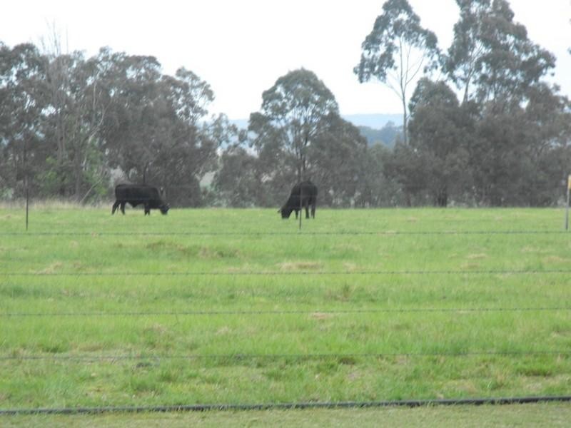 Gordonbrook QLD 4610