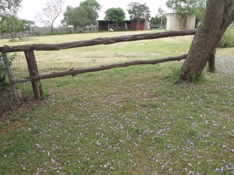 54-118 Rackemann, Wooroolin QLD 4608