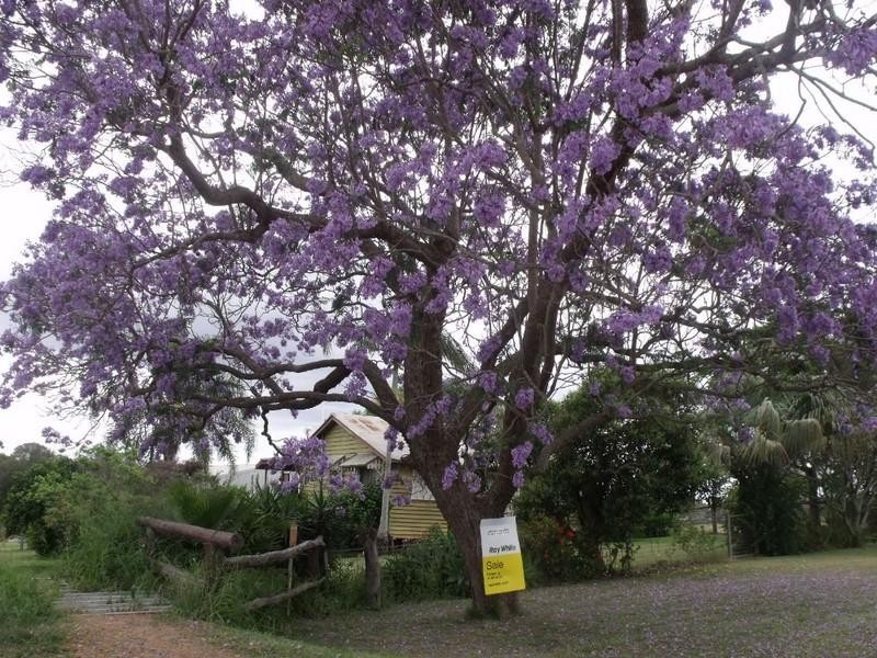 54-118 Rackemann, Kingaroy QLD 4610