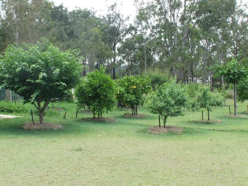 1559 Memerambi Barkers Creek Road, Kingaroy QLD 4610