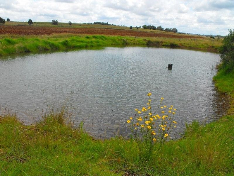 376 Reedy Creek Road, Kingaroy QLD 4610