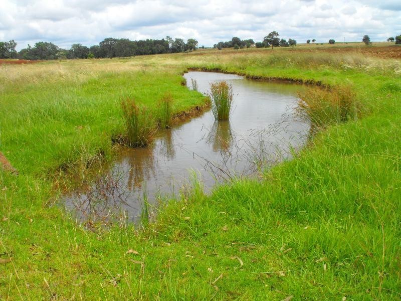 376 Reedy Creek Road, Kingaroy QLD 4610