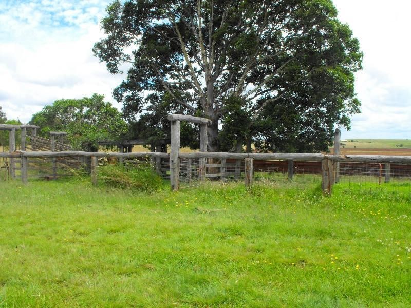 376 Reedy Creek Road, Kingaroy QLD 4610