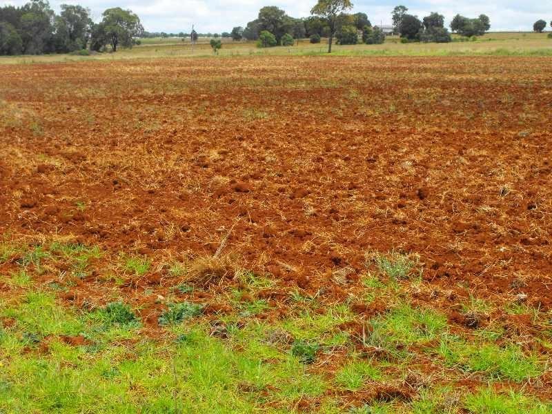 376 Reedy Creek Road, Kingaroy QLD 4610