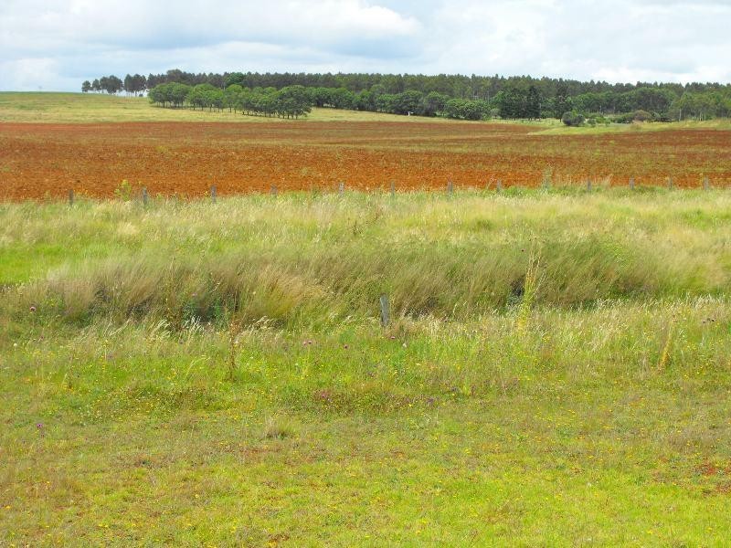 376 Reedy Creek Road, Kingaroy QLD 4610