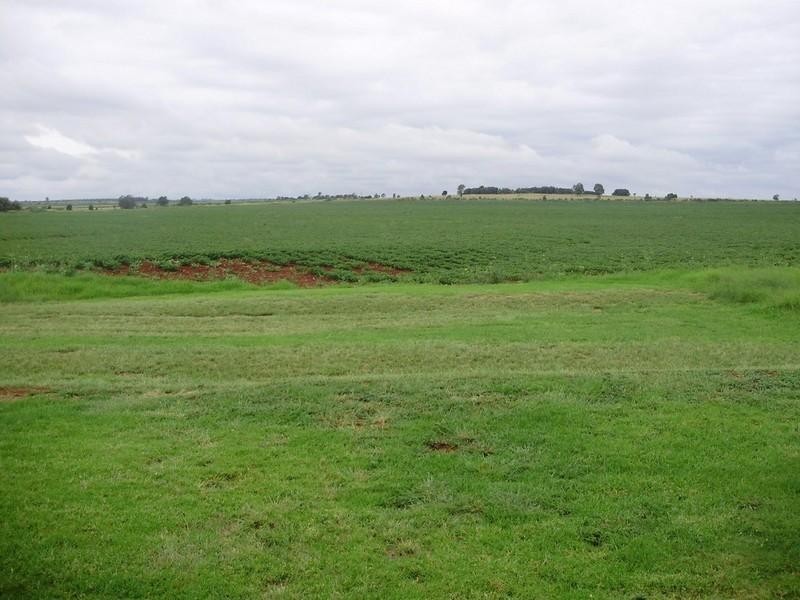 19 Kate Street, Wooroolin QLD 4608