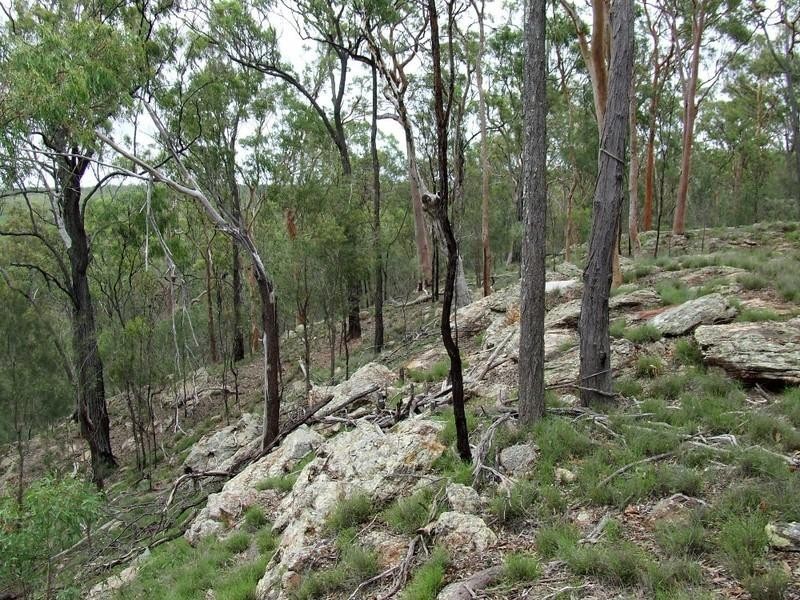 26 Ivanhoe Street, Coverty QLD 4613