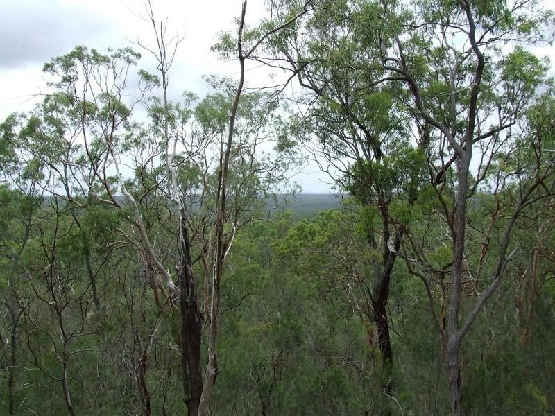 26 Ivanhoe Street, Coverty QLD 4613