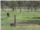 Nanango QLD 4615