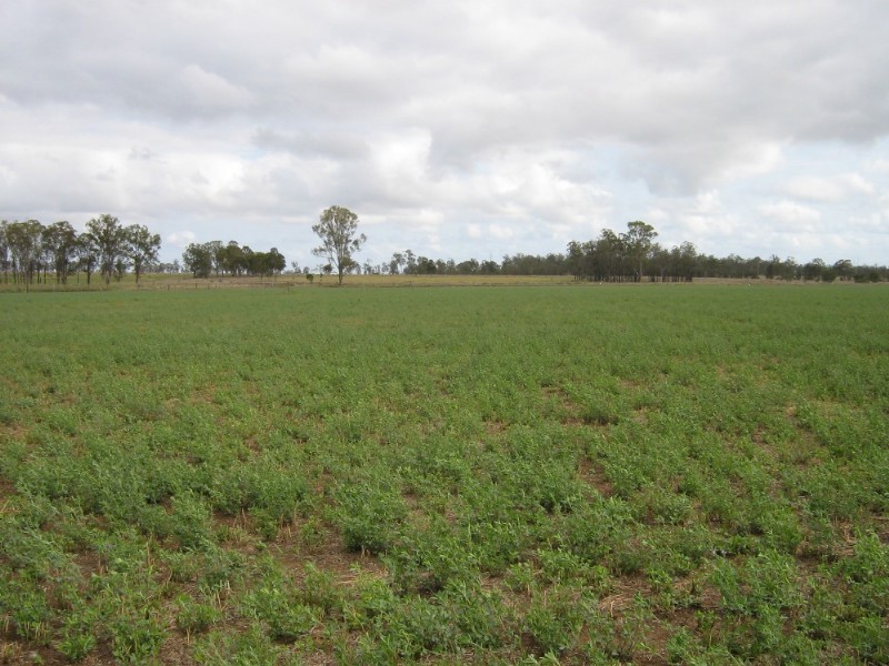 Wondai QLD 4606