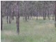 1650 Kingaroy Barkers Creek Road, Booie QLD 4610