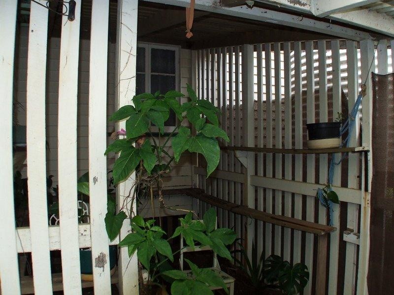 27 Avoca Street, Kingaroy QLD 4610