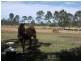 Kingaroy QLD 4610