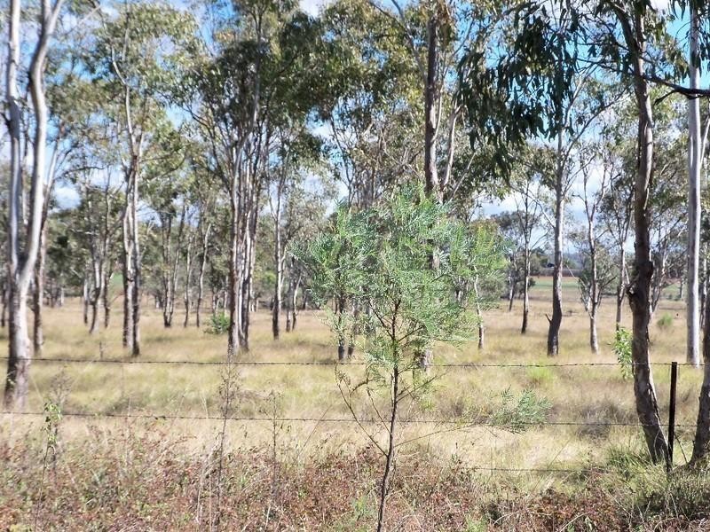 Lot 5 Kingaroy Cooyar Road, Taabinga QLD 4610