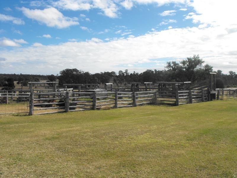 201 Reillys Road, Cushnie QLD 4608