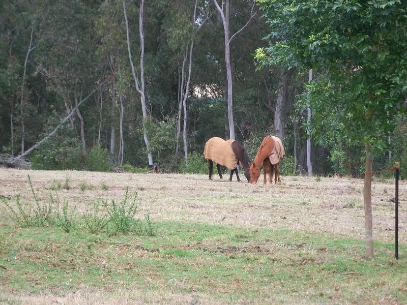 79 Belair Drive, Kingaroy QLD 4610