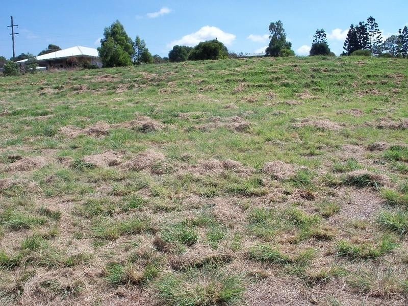 Kingaroy QLD 4610