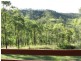 Bunya Mountains QLD 4405