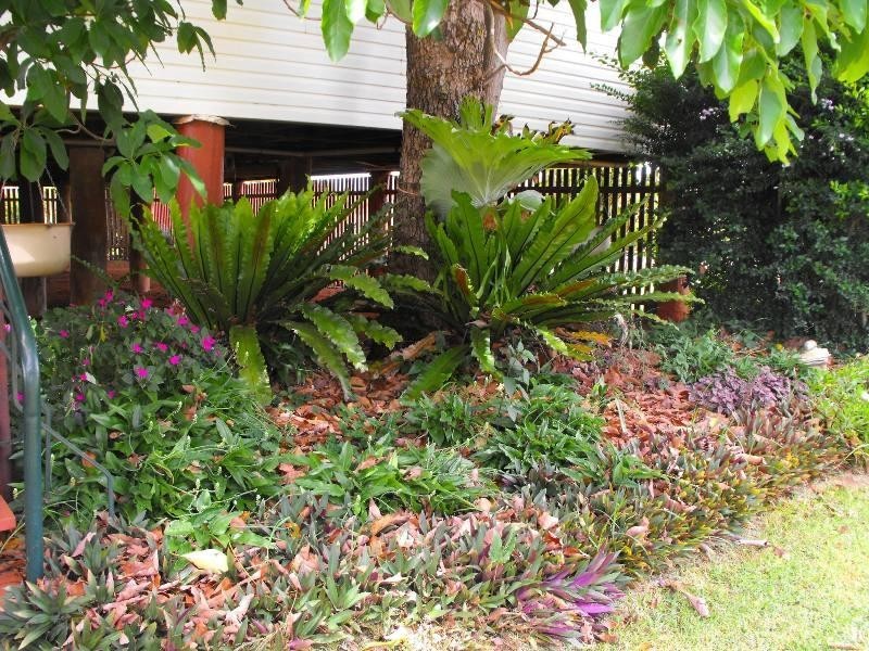 376 Reedy Creek Road, Benair QLD 4610