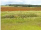 376 Reedy Creek Road, Benair QLD 4610