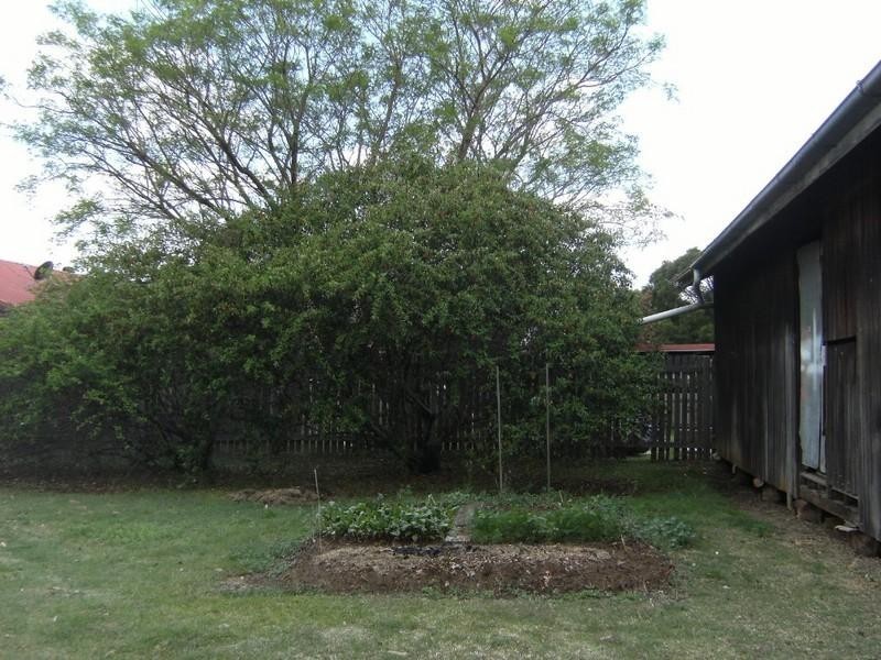 Kingaroy QLD 4610
