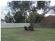 Kingaroy QLD 4610