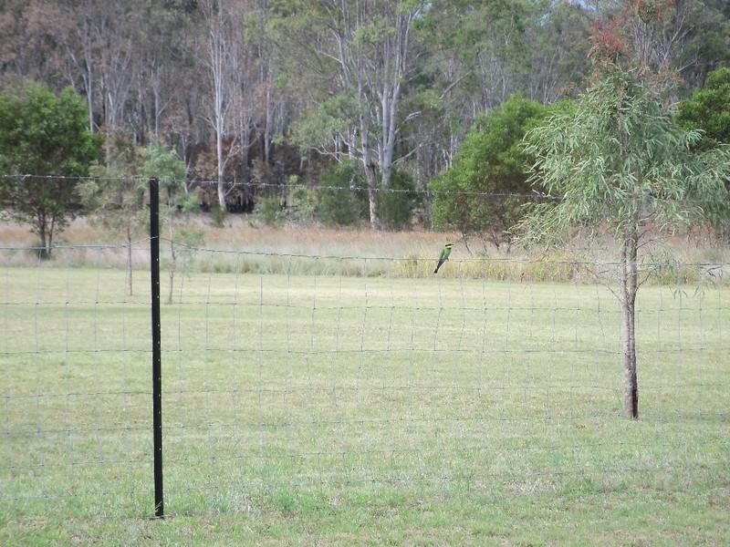 Wattle Camp QLD 4615