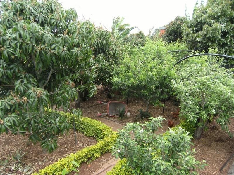 7 Macdiarmid Street, Kingaroy QLD 4610
