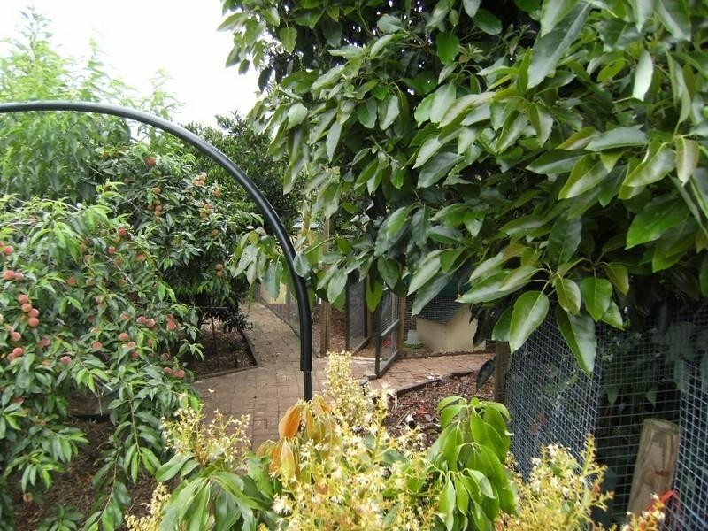7 Macdiarmid Street, Kingaroy QLD 4610