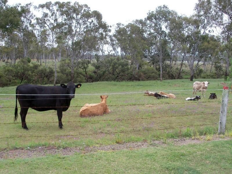 147 Toomeys Road, Taabinga QLD 4610