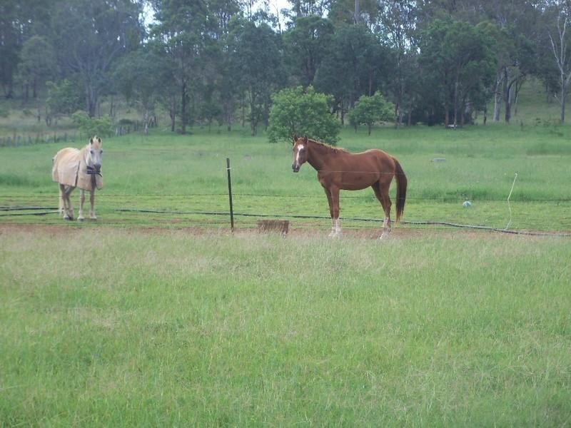 82 Andrews Road, South Nanango QLD 4615