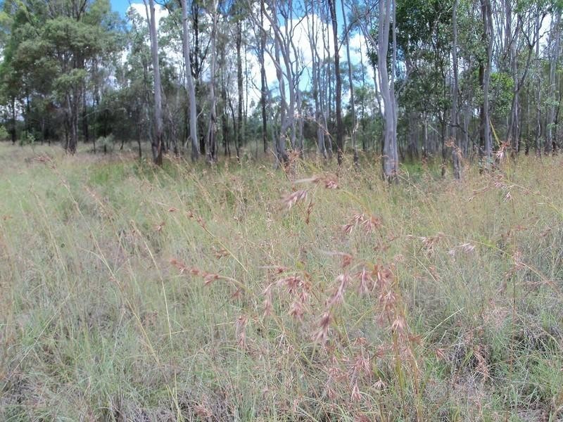 LOT 5 Nanango-Tarong Road, Nanango QLD 4615