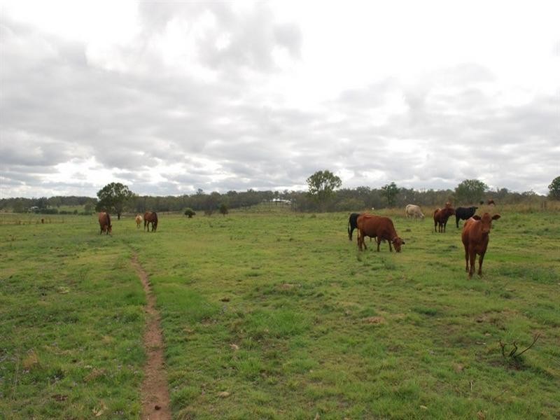 Booie QLD 4610
