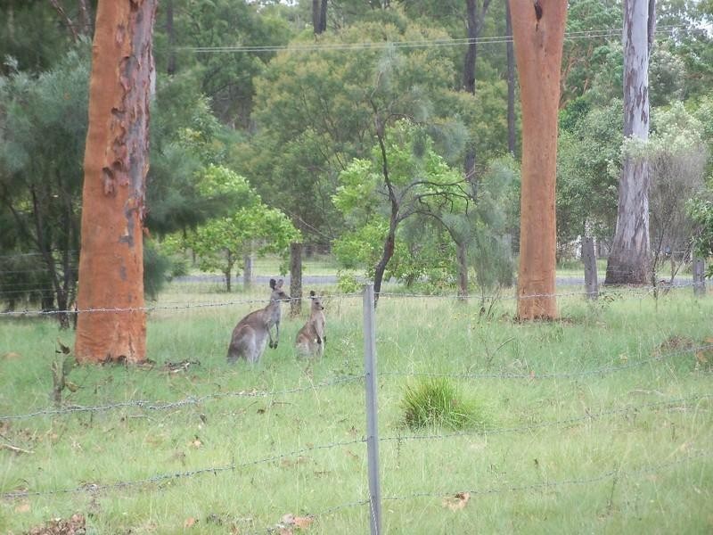 11 Jonelle Street, Taabinga QLD 4610