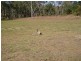 LOT 30 Maidenwell Upper Yarraman Road, Maidenwell QLD 4615