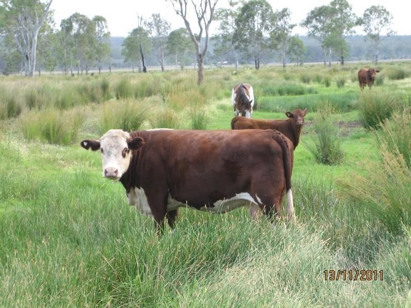 23 Broadwater Access Road, Sandy Ridges QLD 4615