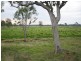 23 Broadwater Access Road, Sandy Ridges QLD 4615