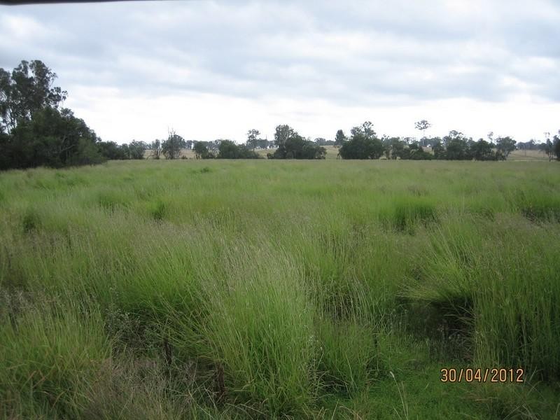 23 Broadwater Access Road, Sandy Ridges QLD 4615