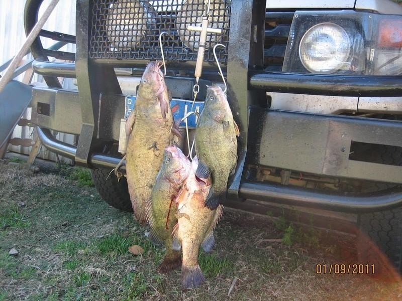 23 Broadwater Access Road, Sandy Ridges QLD 4615